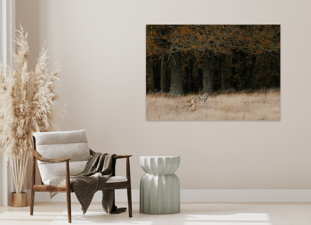 Wolf op de heide - Afbeelding 2