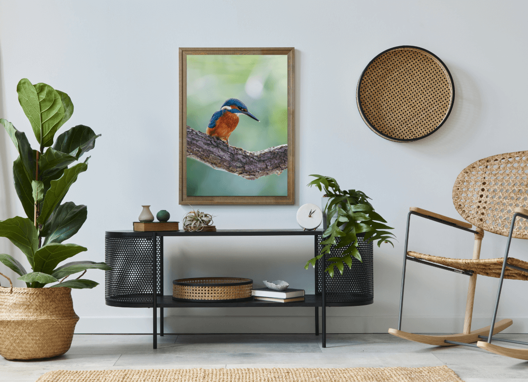 Ijsvogel op tak - Afbeelding 2