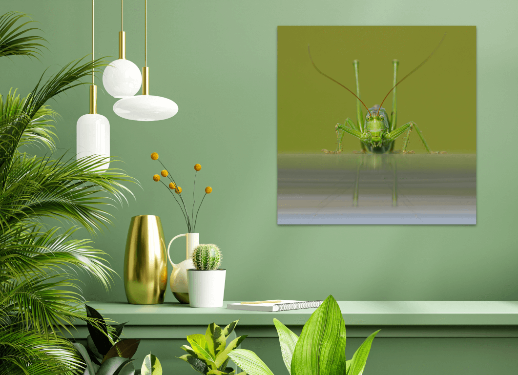 Grote Groene Sabelsprinkhaan - Afbeelding 2