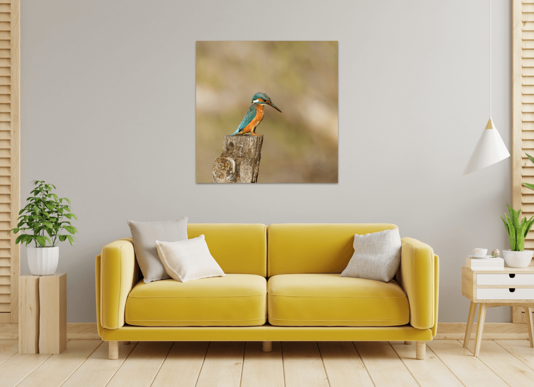 Ijsvogel op paal - Afbeelding 2
